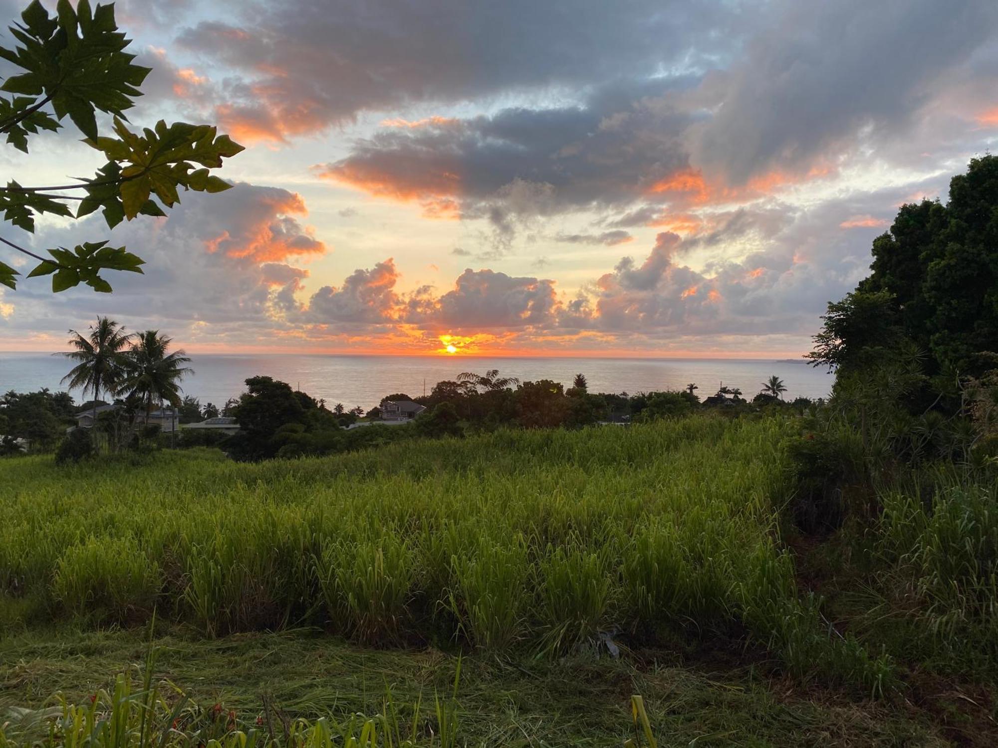 Hawaii Magic Skies Farmstay Paukaa المظهر الخارجي الصورة