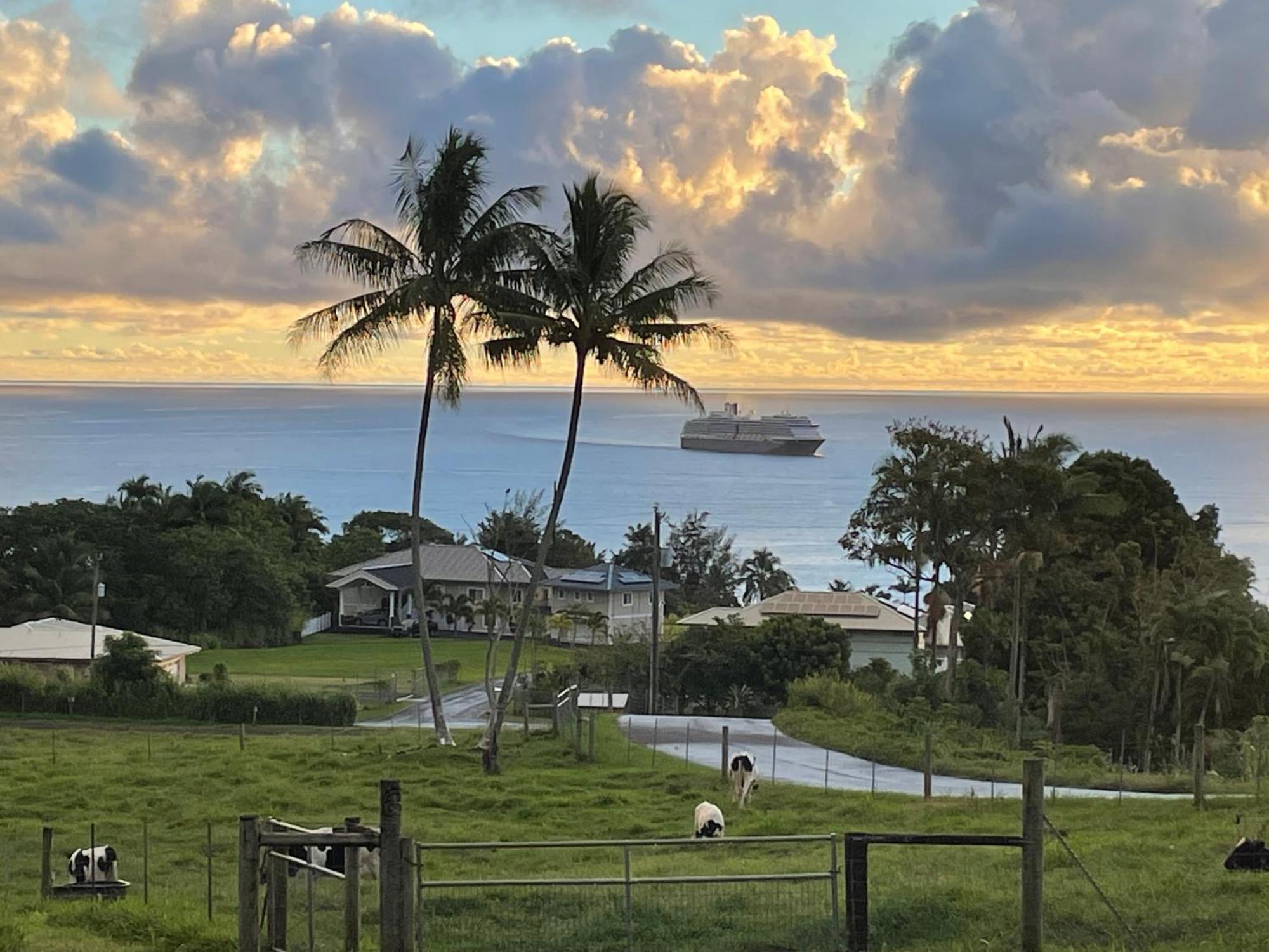 Hawaii Magic Skies Farmstay Paukaa المظهر الخارجي الصورة