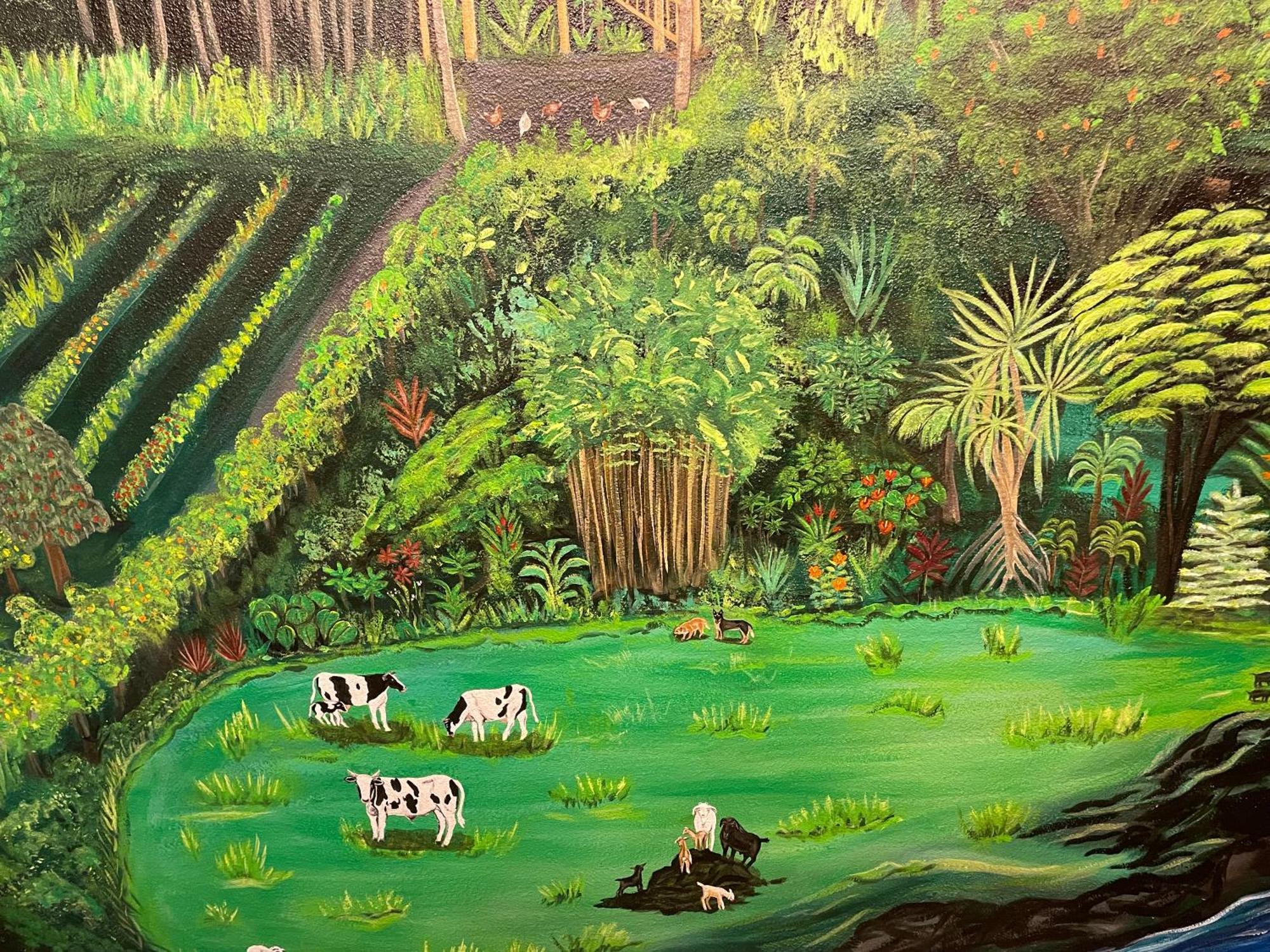 Hawaii Magic Skies Farmstay Paukaa المظهر الخارجي الصورة